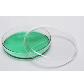 Placa de Petri para Antibiograma